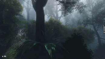 World 001 — Dark Forest, solo-era terrain
